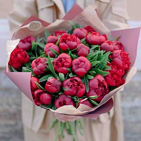 Маленький букет  из 25 бордовых пионов Standart