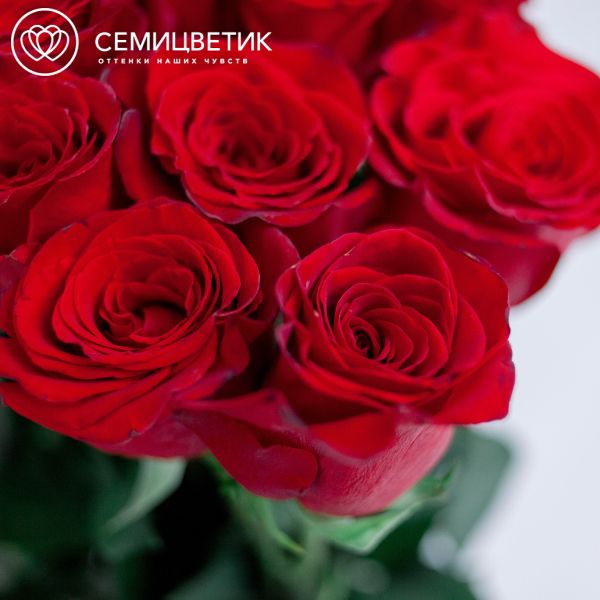 Букет из 15 красных роз (Эквадор) 130 см Freedom