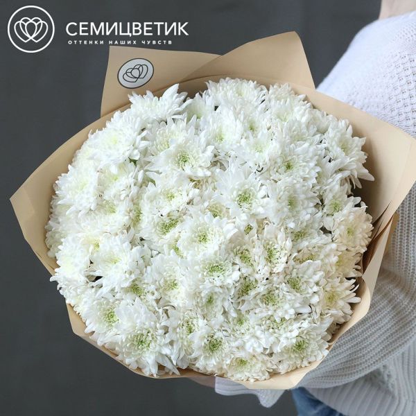 Букет из 15 белых кустовых хризантем
