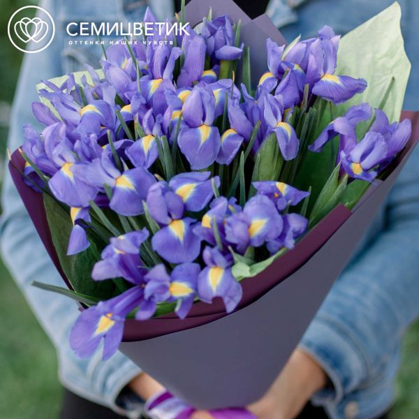 Букет из 19 синих ирисов