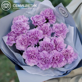 Букет из 15 сиреневых (лунных) гвоздик в голубой пленке