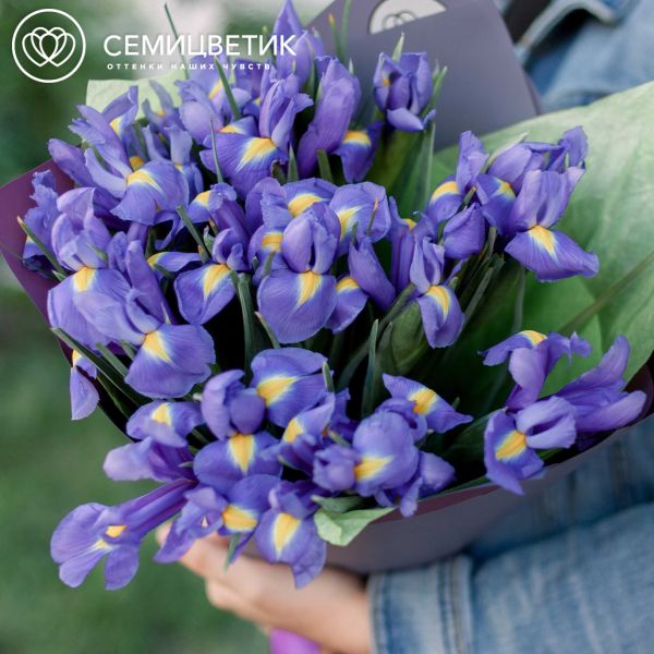 Букет из 19 синих ирисов