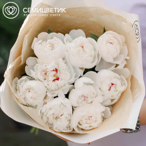 Букет из 9 нежно-розовых пионов Standart в кремовой пленке