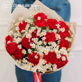 Букет из 15 красных гвоздик и 7 матрикарий в кремовой пленке