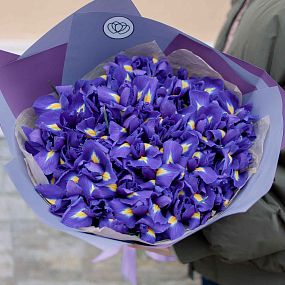 Букет из 51 синего ириса