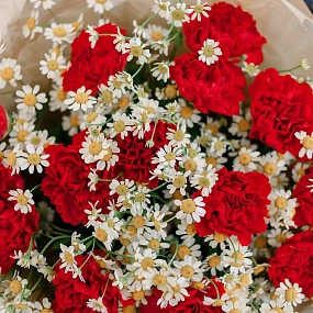 Букет из 15 красных гвоздик и 7 матрикарий в кремовой пленке