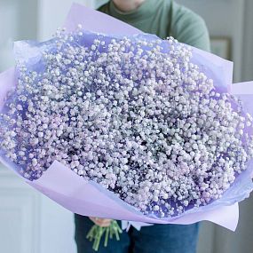 Большой букет  из 15 сиреневых гипсофил