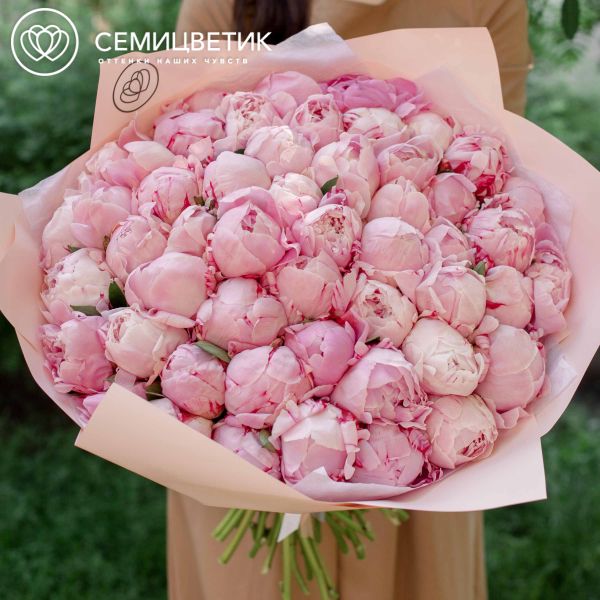 Букет из 51 розового пиона Premium
