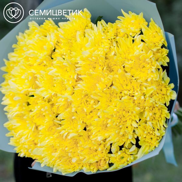 Букет из 15 желтых кустовых хризантем
