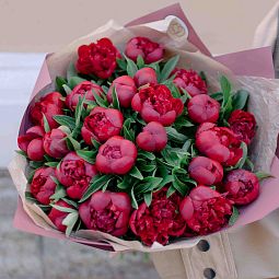 Маленький букет  из 25 бордовых пионов Standart
