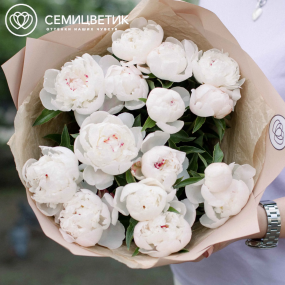 Букет из 15 нежно-розовых пионов Standart в кремовой пленке