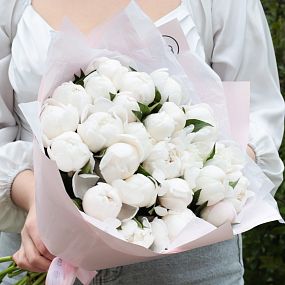 Маленький букет  из 25 нежно-розовых пионов Standart
