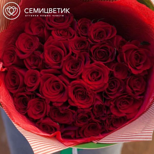 Букет из 35 красных с темной каймой роз (Россия) 40 см