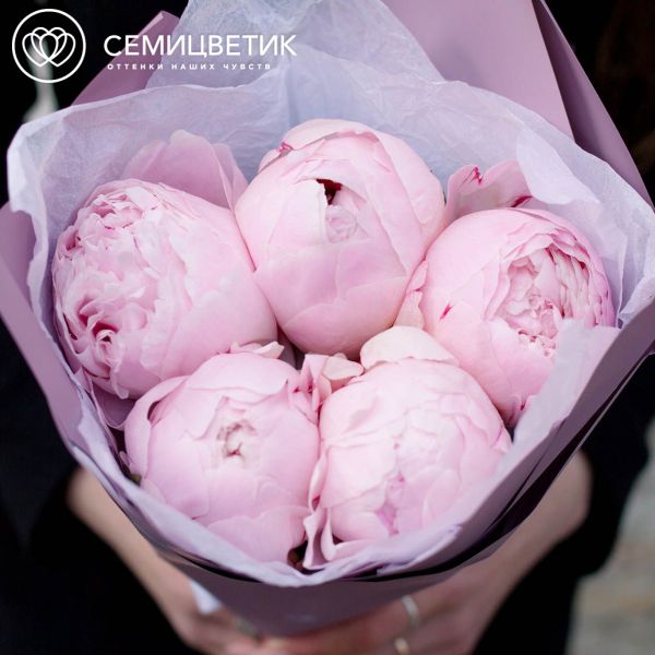 Букет из 5 розовых пионов Premium
