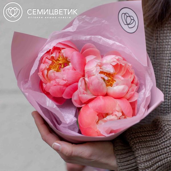 Букет из 3 коралловых пионов Coral Sunset Premium