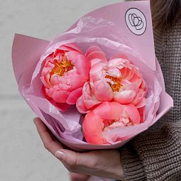 Букет из 3 коралловых пионов Coral Sunset Premium