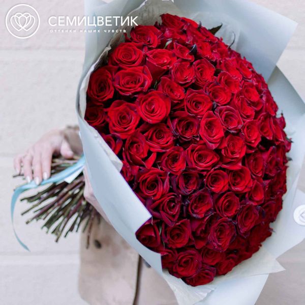 Букет из 101 красной с темной каймой розы (Россия) 50 см