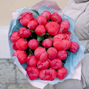 Букет из 25 коралловых пионов Coral Sunset Premium в розовой пленке