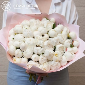 Букет из 51 белого пиона Standart Plus в розовой пленке