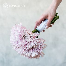 Монобукет   из хризантем