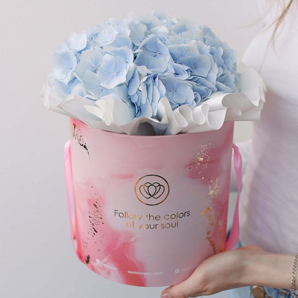Букет в розовой шляпной коробке Amour Mini из 3 голубых гортензий