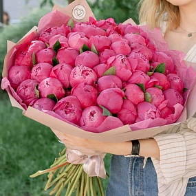 Букет из 51 ярко-розового пиона Premium в розовой пленке