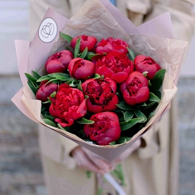 Букет из 11 бордовых пионов Standart в сиреневой пленке