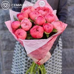 Букет из 11 коралловых пионов Coral Sunset Premium в розовой пленке