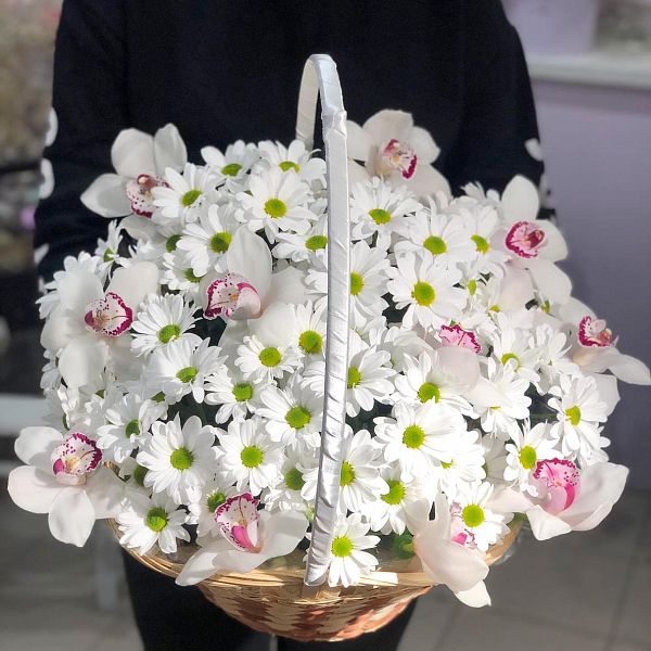 Полёт бабочки