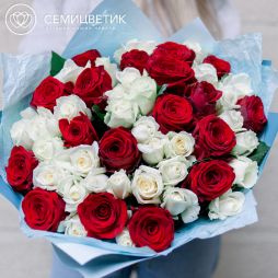 51 красная и белая роза (Россия) 35 см