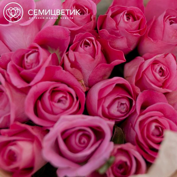 Букет из 15 розовых роз (Кения) 40 см Standart