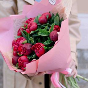 Маленький букет  из 15 бордовых пионов Standart