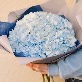 Свадебный букет  из 7 голубых гортензий