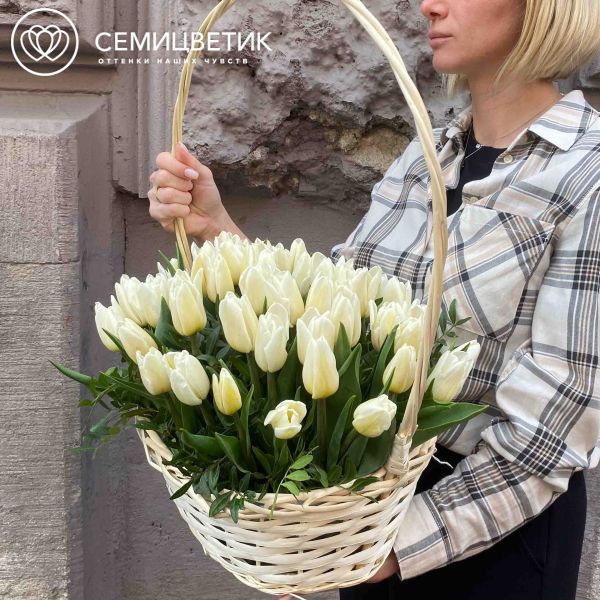 Композиция из 51 белого тюльпана 40 см с фисташкой в корзине