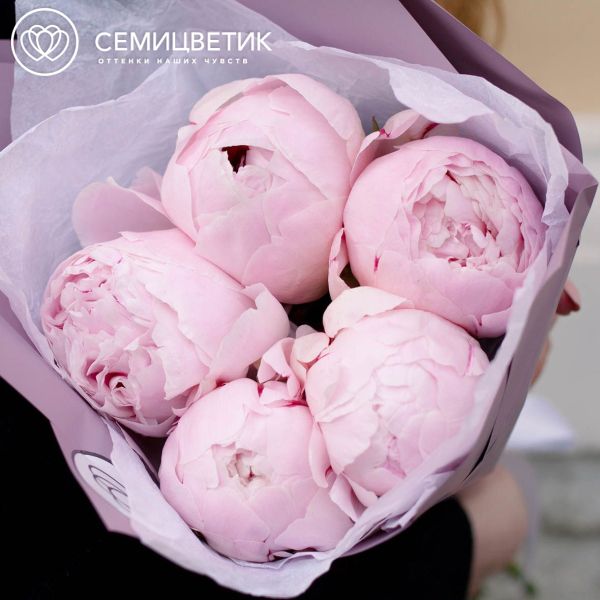 Букет из 5 розовых пионов Premium