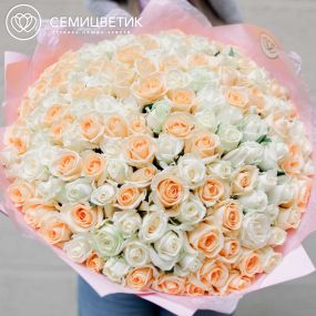 Букет из 151 белой и кремовой розы 35-40 см (Россия)