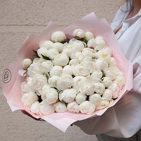 Букет из 51 белого пиона Standart Plus в розовой пленке