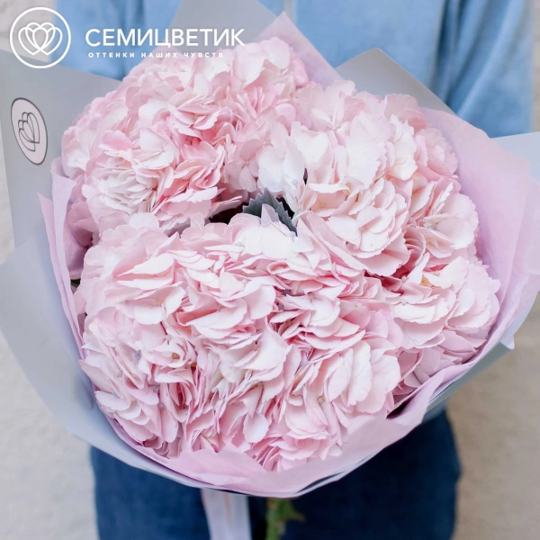 Букет из 3 розовых гортензий в белой пленке