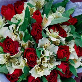 Букет из 15 красных роз 30 см (Кения) и 10 белых альстромерий