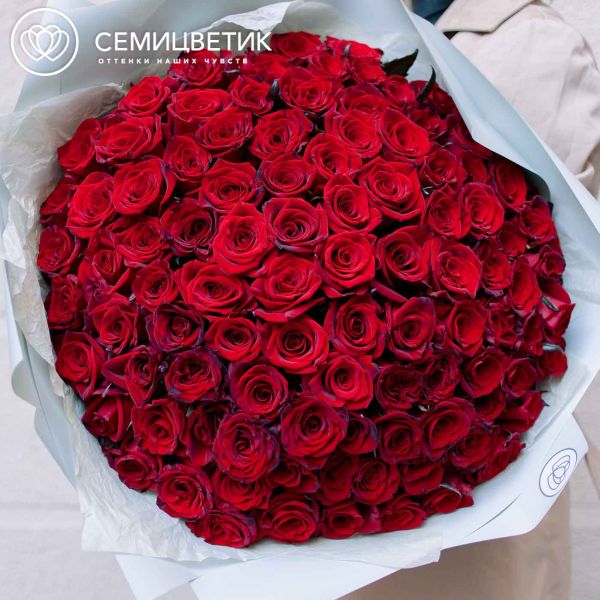 Букет из 101 красной с темной каймой розы (Россия) 50 см