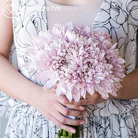 Монобукет   из хризантем