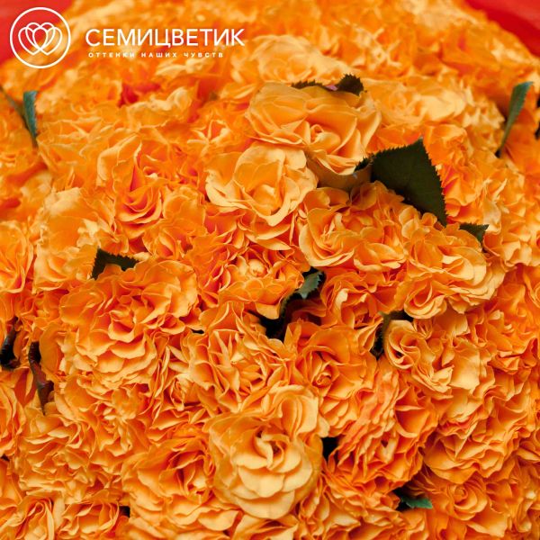 Букет из 101 оранжевой розы 35-40 см (Россия)
