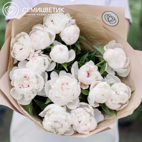 Букет из 15 нежно-розовых пионов Standart в кремовой пленке