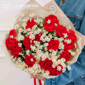Букет из 15 красных гвоздик и 7 матрикарий в кремовой пленке