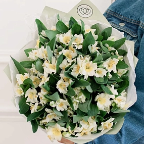 Букет из 23 белых альстромерий в зеленой пленке