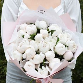 Маленький букет  из 25 нежно-розовых пионов Standart